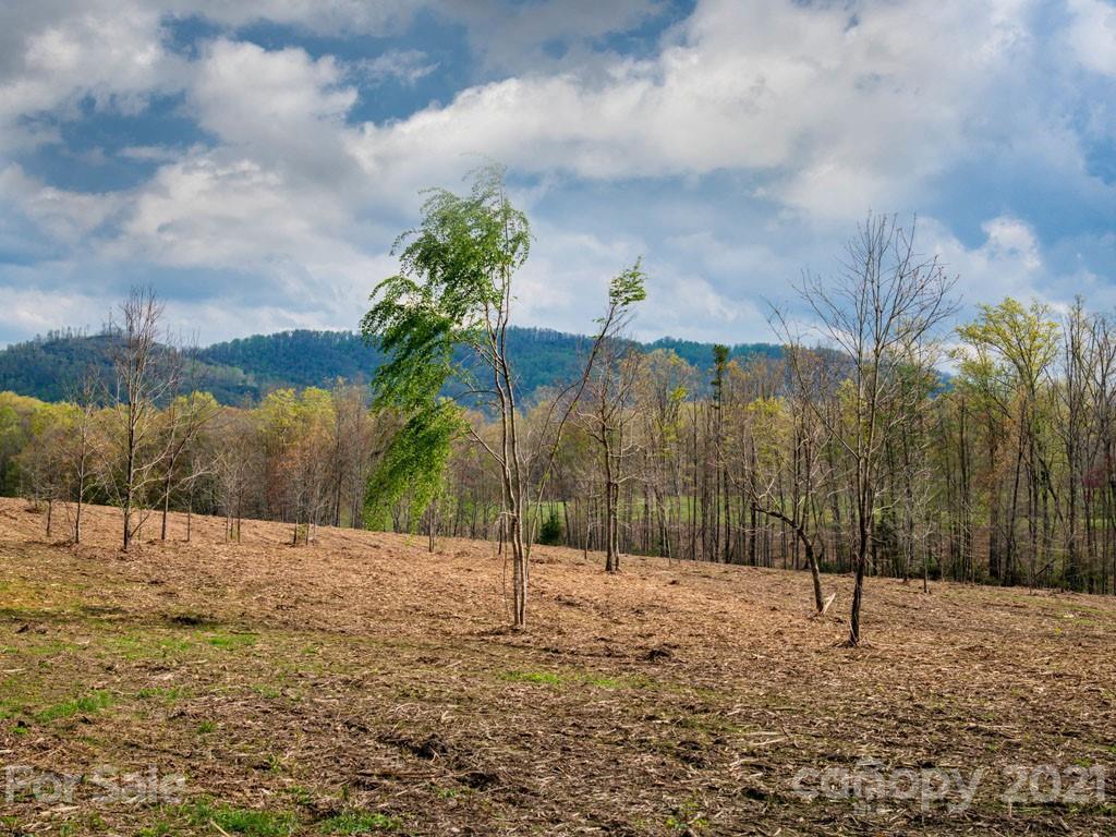 2 Jerico Ridge Road Fletcher, NC 28732 - Photo 15 of 48