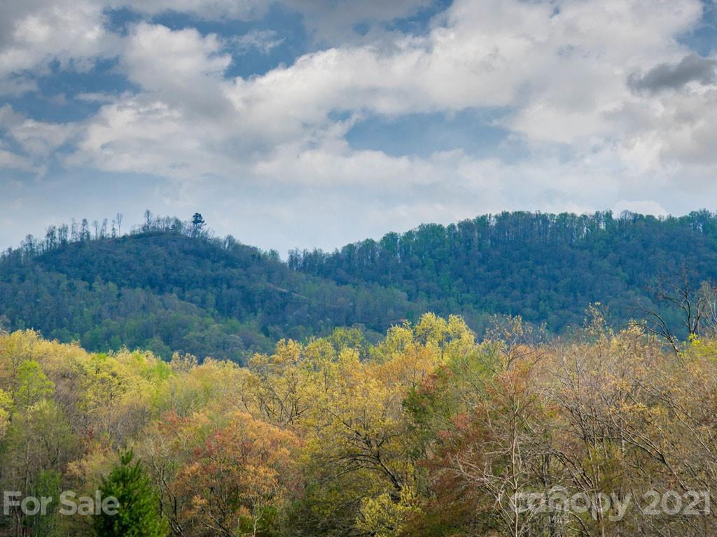 2 Jerico Ridge Road Fletcher, NC 28732 - Photo 17 of 48 a view of a lake and mountain