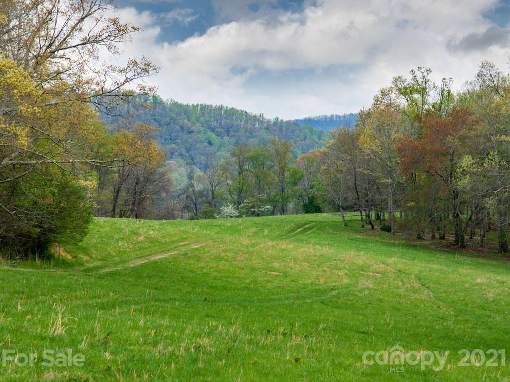 2 Jerico Ridge Road Fletcher, NC 28732 - Photo 18 of 48 a view of a big yard with green space