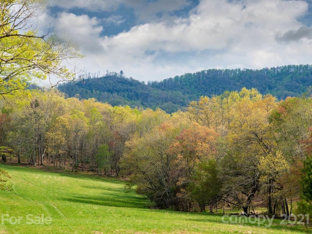 2 Jerico Ridge Road Fletcher, NC 28732 - Photo 3 of 48 a view of a city