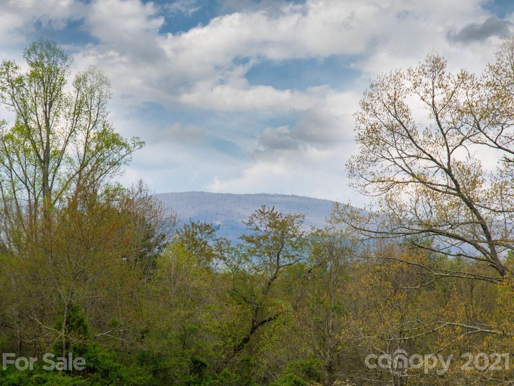2 Jerico Ridge Road Fletcher, NC 28732 - Photo 28 of 48 a view of a yard