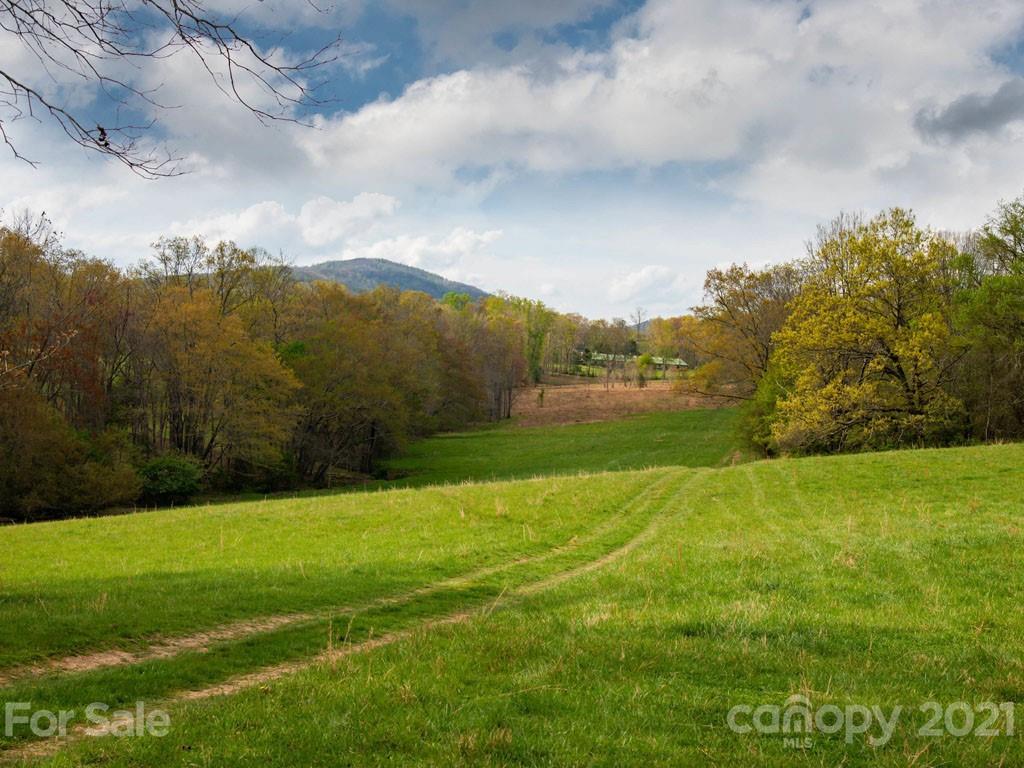 2 Jerico Ridge Road Fletcher, NC 28732 - Photo 29 of 48 a view of field with tall trees