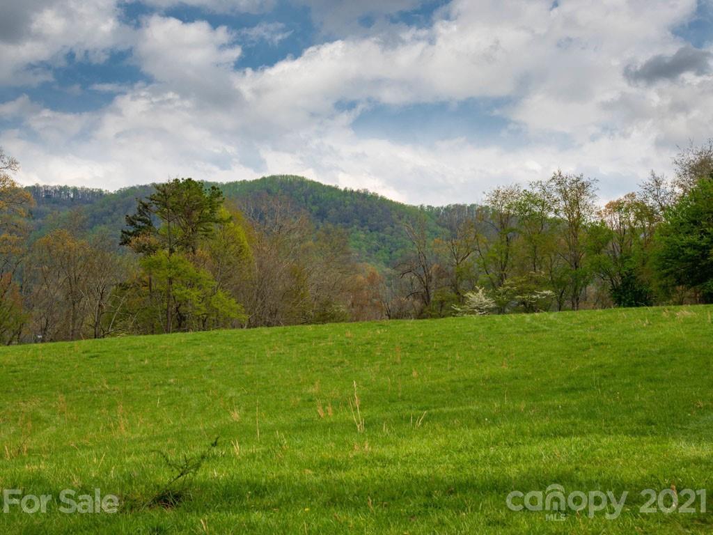 2 Jerico Ridge Road Fletcher, NC 28732 - Photo 30 of 48 a view of grassy field with mountains in the background
