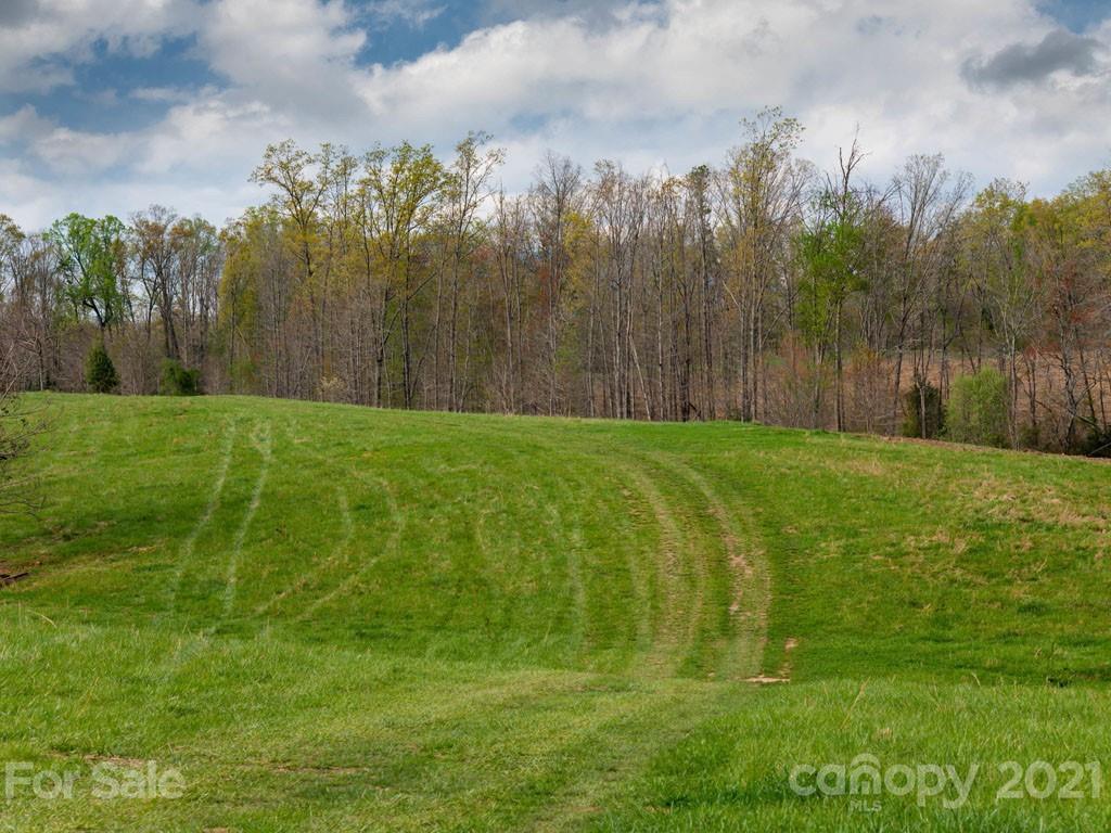 2 Jerico Ridge Road Fletcher, NC 28732 - Photo 4 of 48 a view of a golf course with a garden