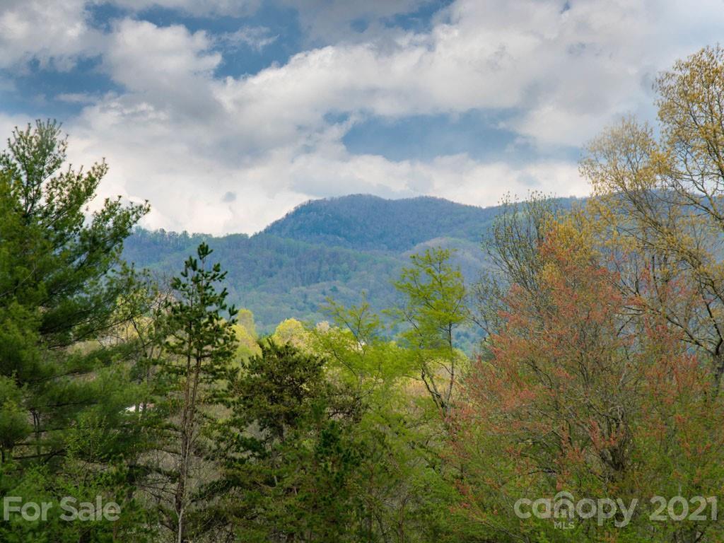 2 Jerico Ridge Road Fletcher, NC 28732 - Photo 33 of 48 a view of a bunch of trees and bushes