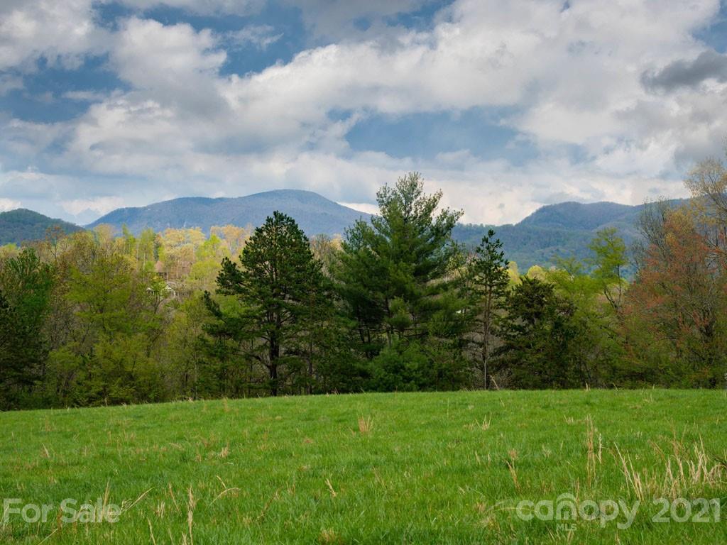 2 Jerico Ridge Road Fletcher, NC 28732 - Photo 34 of 48 a view of a field of grass and trees