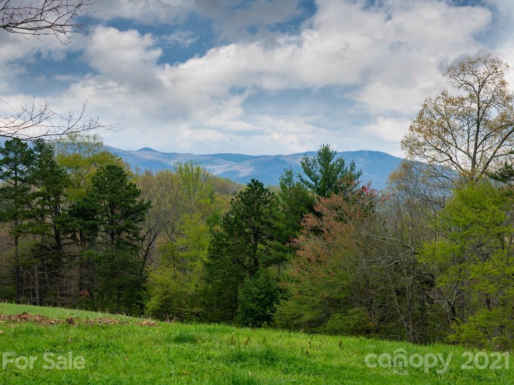 2 Jerico Ridge Road Fletcher, NC 28732 - Photo 35 of 48 a view of a yard