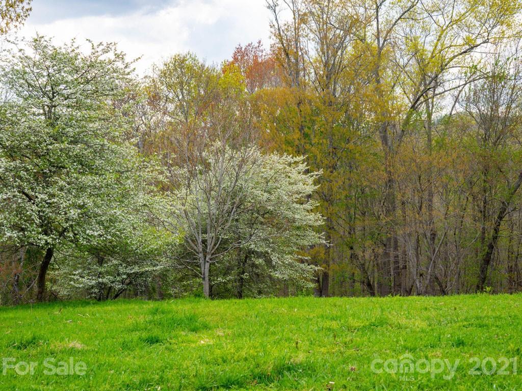 2 Jerico Ridge Road Fletcher, NC 28732 - Photo 39 of 48 a view of a trees with a yard