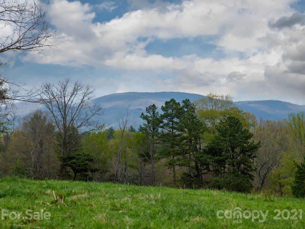 2 Jerico Ridge Road Fletcher, NC 28732 - Photo 40 of 48