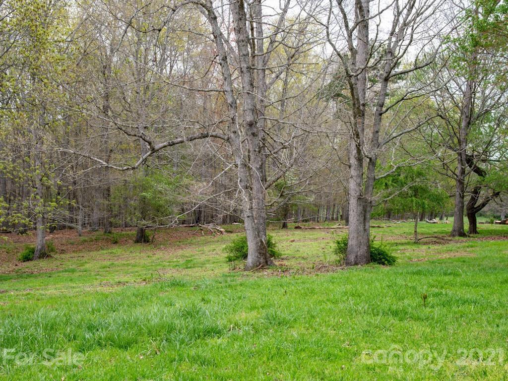 2 Jerico Ridge Road Fletcher, NC 28732 - Photo 43 of 48 a fire hydrant in the middle of a field