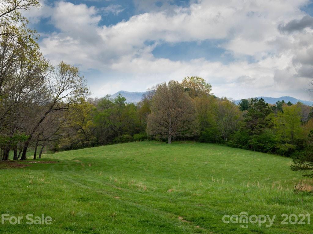 2 Jerico Ridge Road Fletcher, NC 28732 - Photo 44 of 48 a view of a trees with a yard