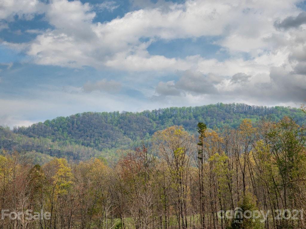 2 Jerico Ridge Road Fletcher, NC 28732 - Photo 46 of 48 a view of a town with mountains in the background