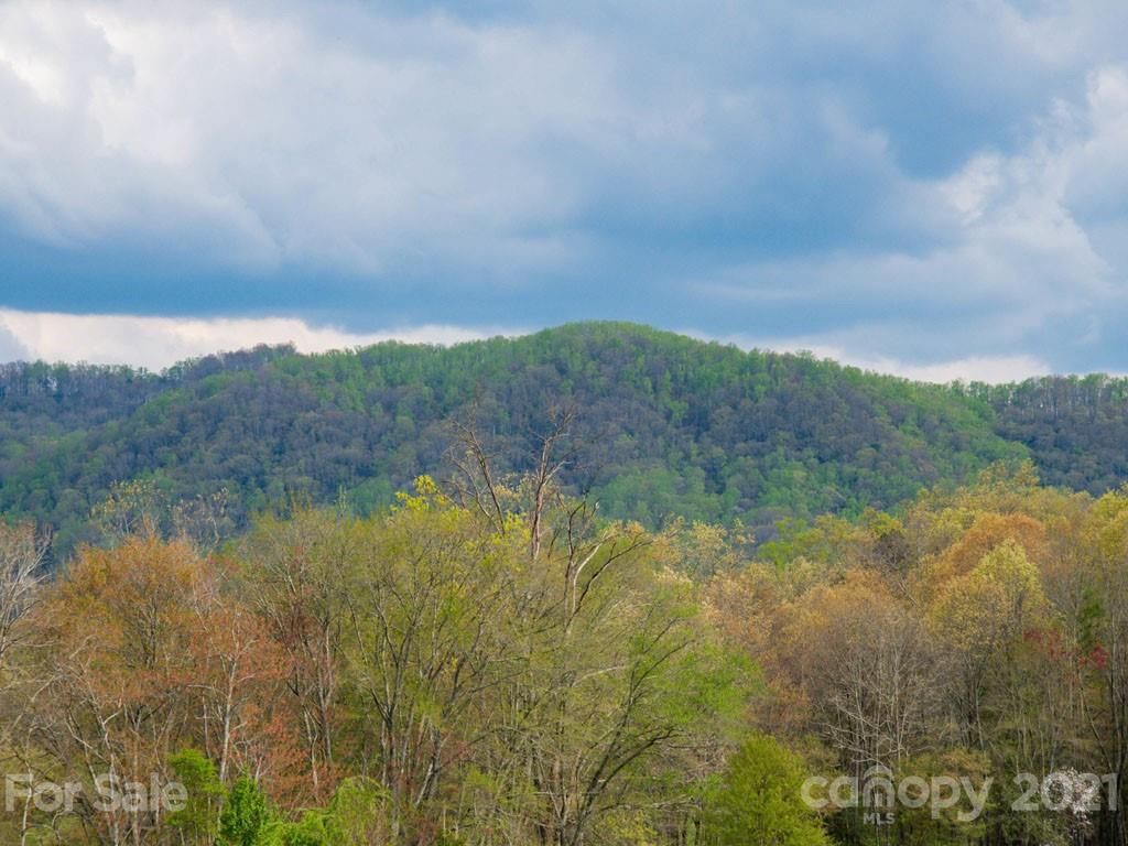 2 Jerico Ridge Road Fletcher, NC 28732 - Photo 9 of 48 a view of lake with green space