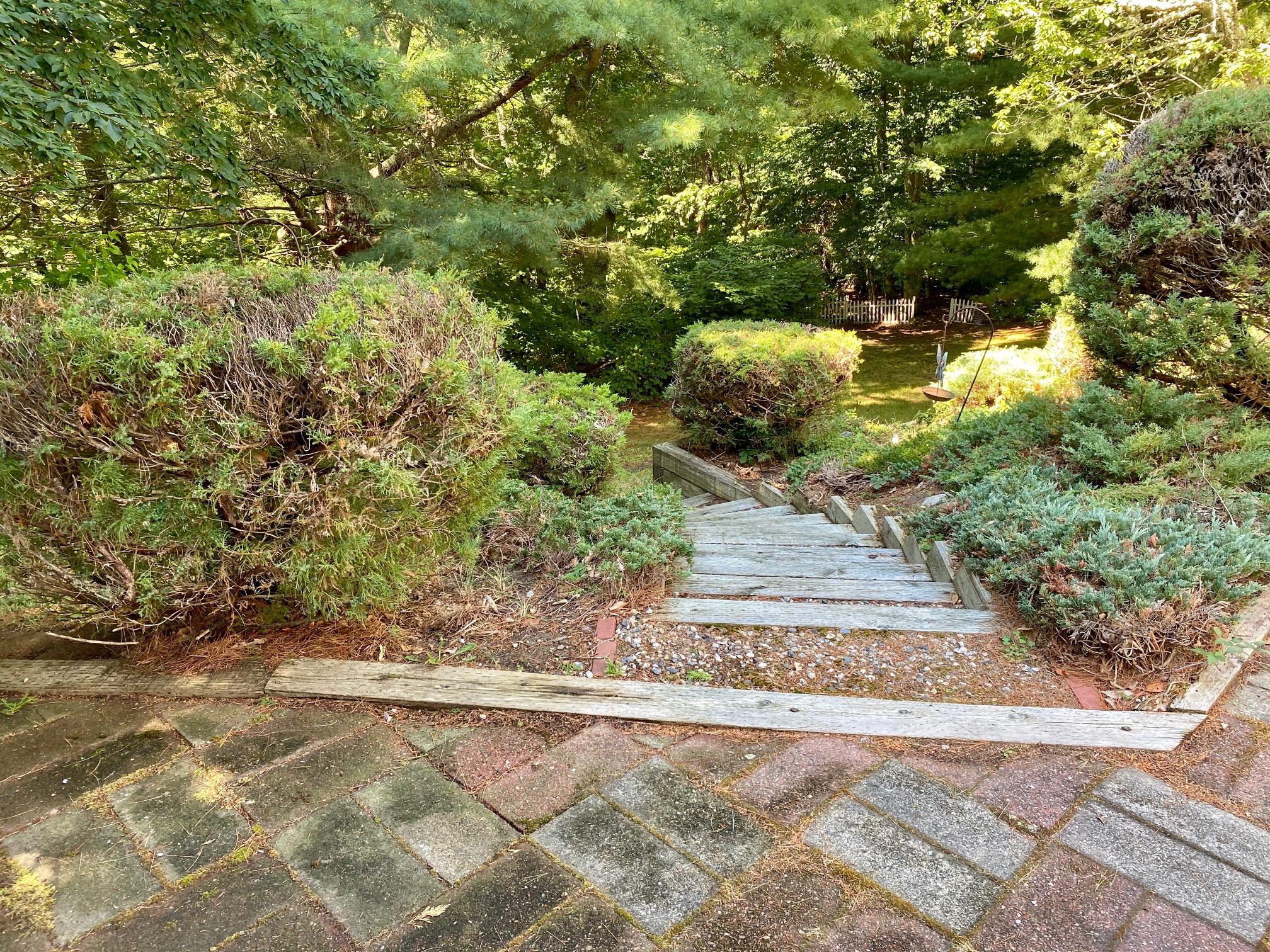 116 Trout Brook Road Cotuit, MA 02635 - Photo 22 of 36 Private Side Yard