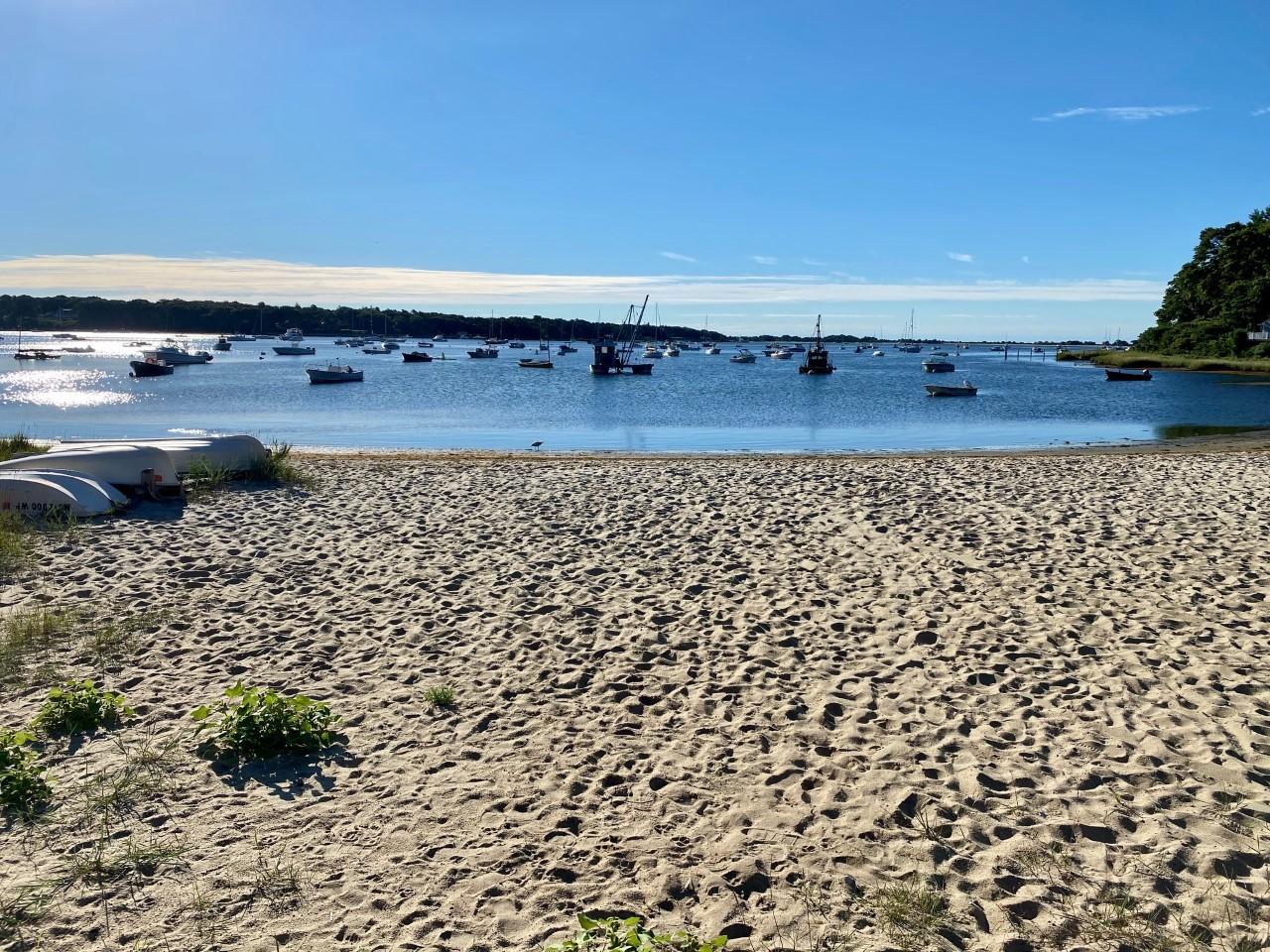 116 Trout Brook Road Cotuit, MA 02635 - Photo 29 of 36 Ropes Beach, Cotuit