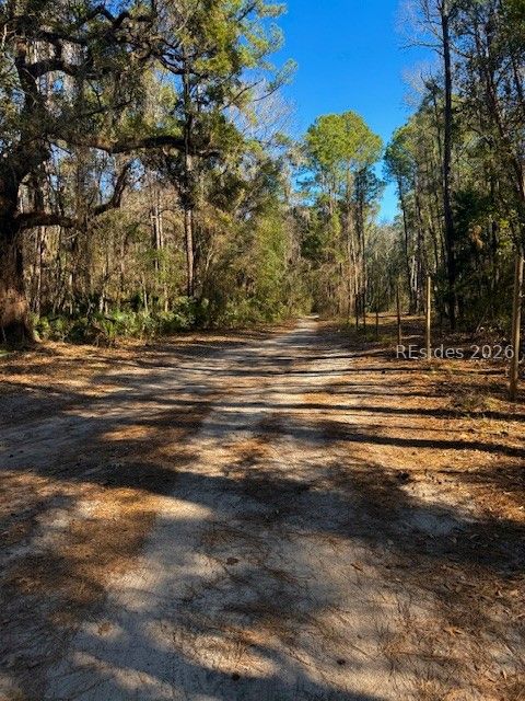 46 Bryan Road Daufuskie Island, SC 29915 - Photo 11 of 20