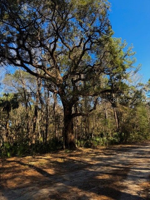 46 Bryan Road Daufuskie Island, SC 29915 - Photo 2 of 20