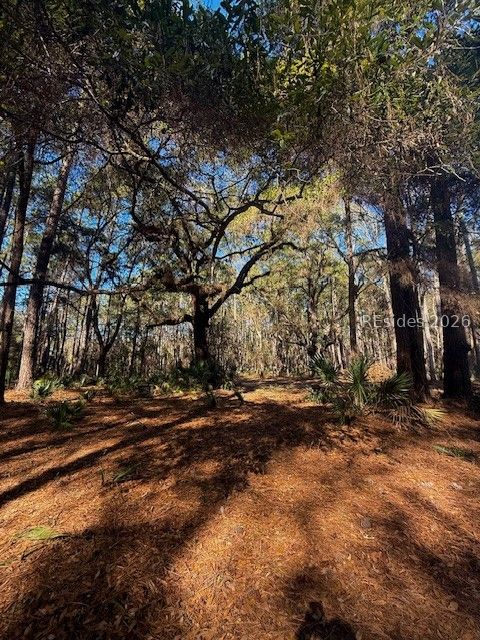 46 Bryan Road Daufuskie Island, SC 29915 - Photo 3 of 20