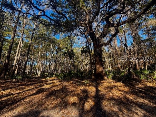 46 Bryan Road Daufuskie Island, SC 29915 - Photo 4 of 20