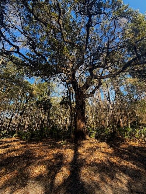 46 Bryan Road Daufuskie Island, SC 29915 - Photo 5 of 20