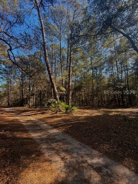 46 Bryan Road Daufuskie Island, SC 29915 - Photo 6 of 20