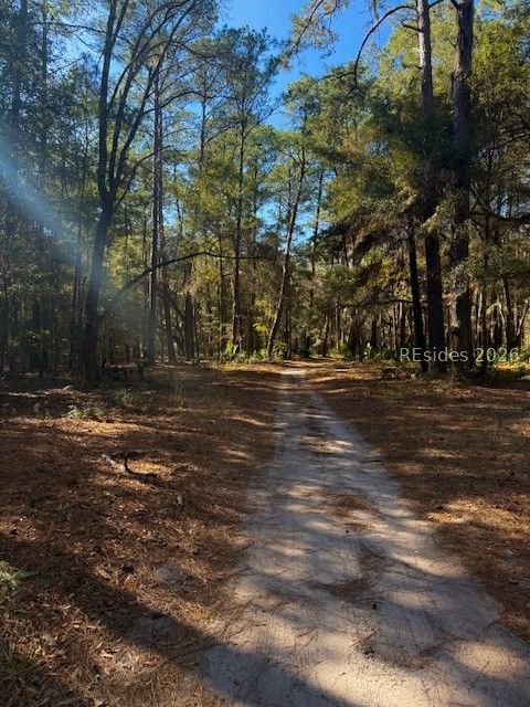46 Bryan Road Daufuskie Island, SC 29915 - Photo 10 of 20