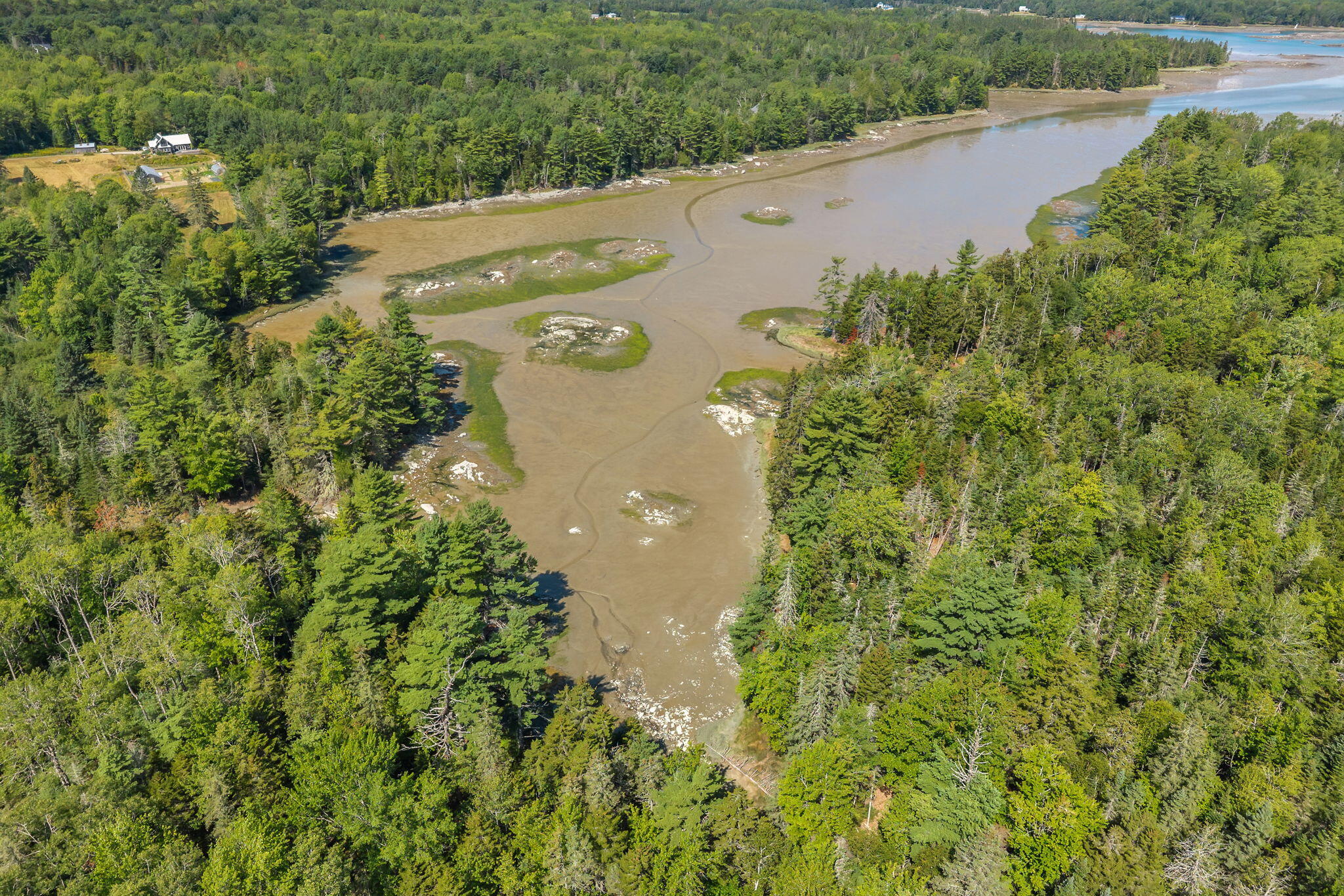 368 Partridge Cove Road Lamoine, ME 04605 - Photo 101 of 107 116-web-or-mls-368-partridge-cove-rd
