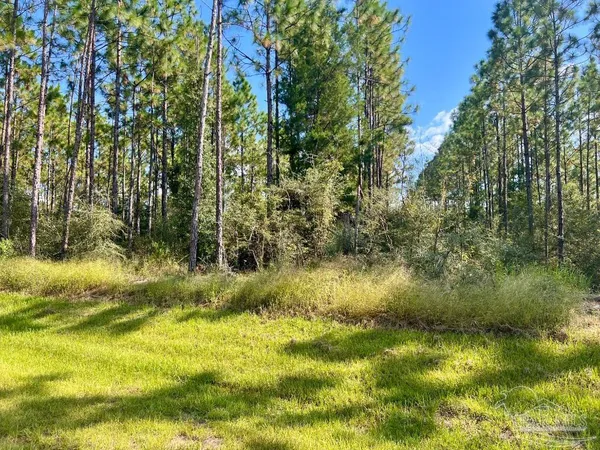 $165,000 | Lot 29 Morgans Branch, Molino, FL 32577