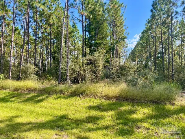 $165,000 | Lot 29 Morgans Branch, Molino, FL 32577