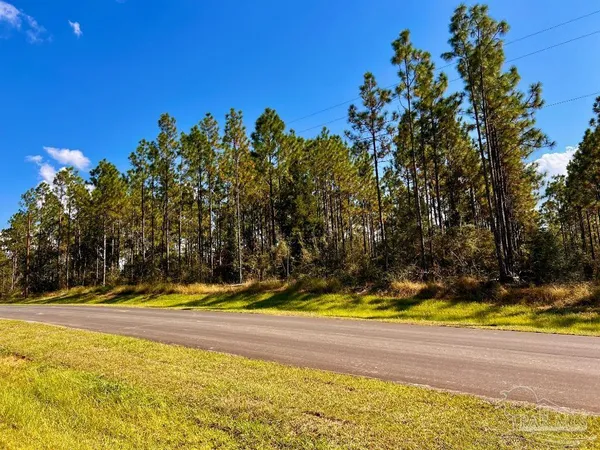 $165,000 | Lot 29 Morgans Branch, Molino, FL 32577
