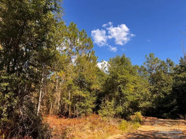 $165,000 | Lot 29 Morgans Branch, Molino, FL 32577