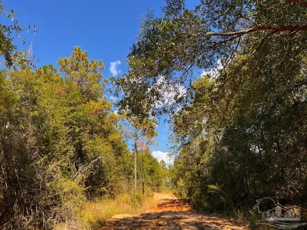 $165,000 | Lot 29 Morgans Branch, Molino, FL 32577