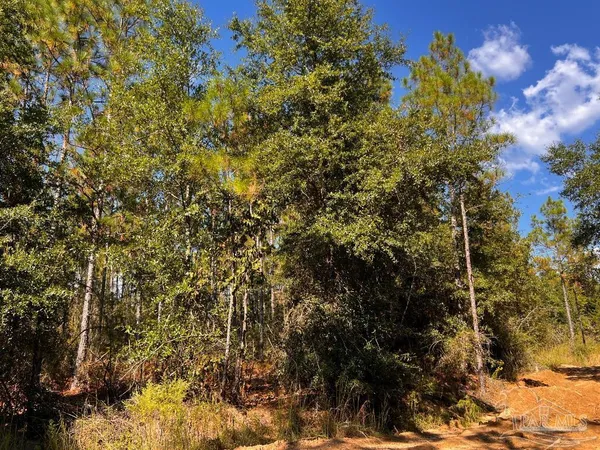 $165,000 | Lot 29 Morgans Branch, Molino, FL 32577