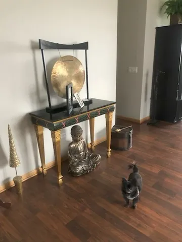 $2,000 | 21314 West Crimson Court, Plainfield, IL 60544