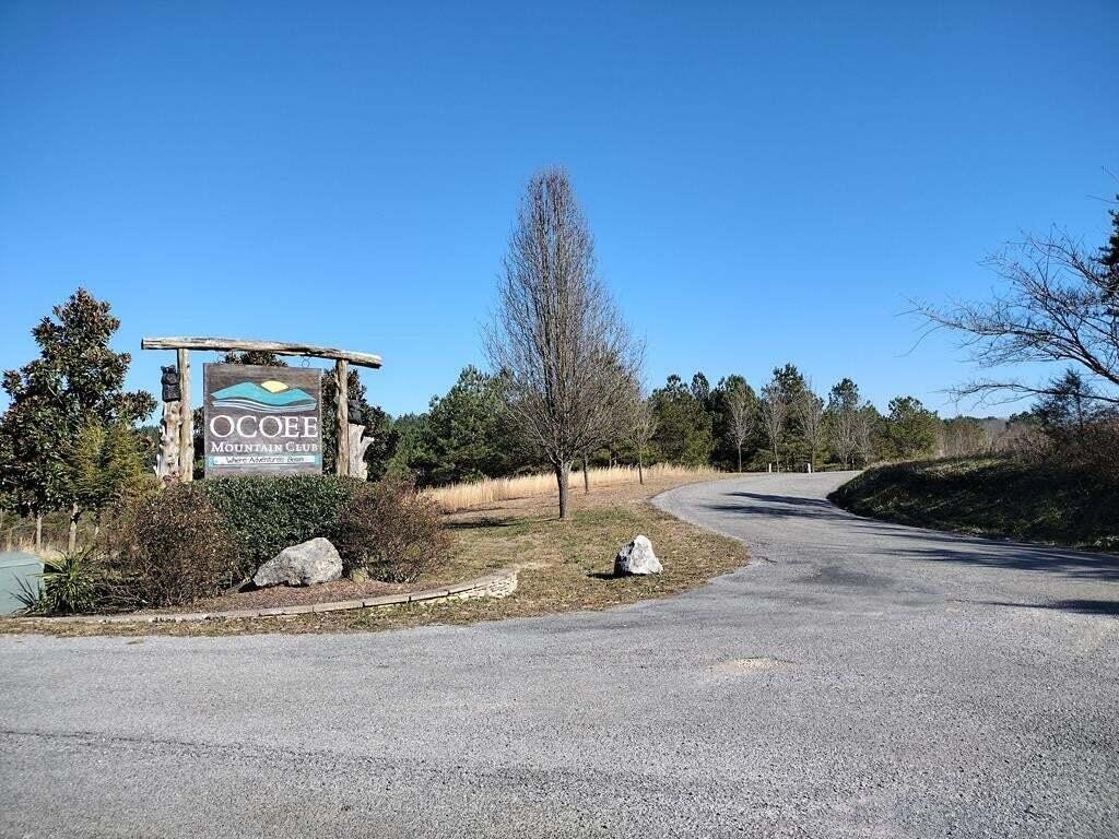 115 Casson Road Ocoee, TN 37361 - Photo 2 of 11