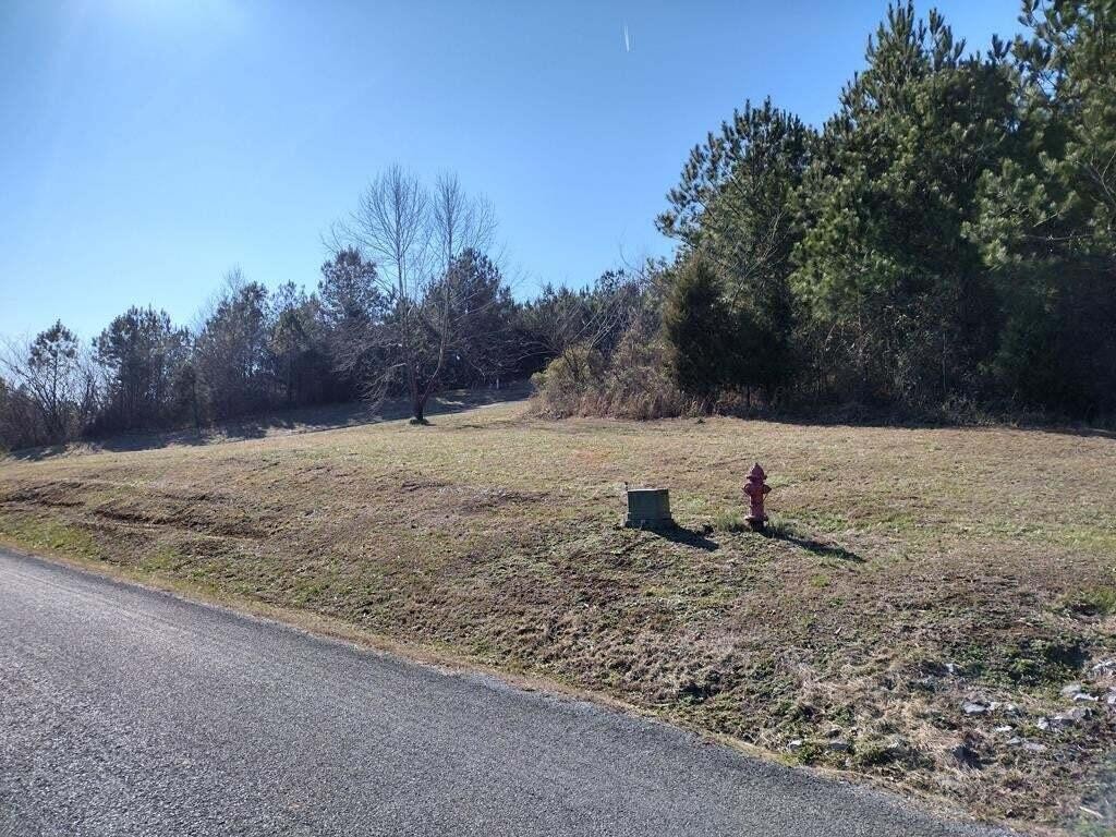 115 Casson Road Ocoee, TN 37361 - Photo 6 of 11