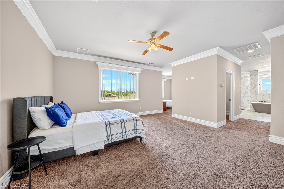 4320 Tiger Road Pahrump, NV 89048 - Photo 41 of 58