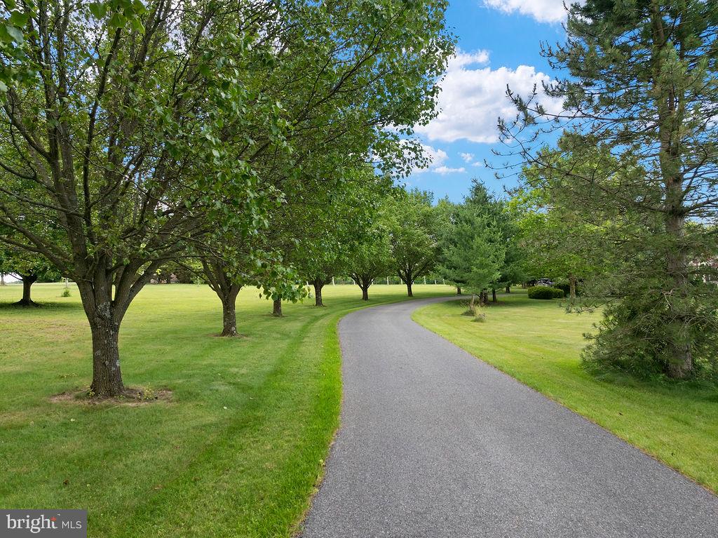 175 Knorr Road Gettysburg, PA 17325 - Photo 3 of 99