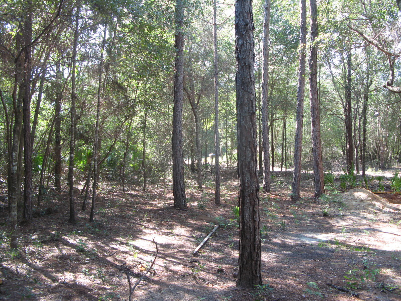 146 Rene Road DeFuniak Springs, FL 32433 - Photo 1 of 9 IMG_2601
