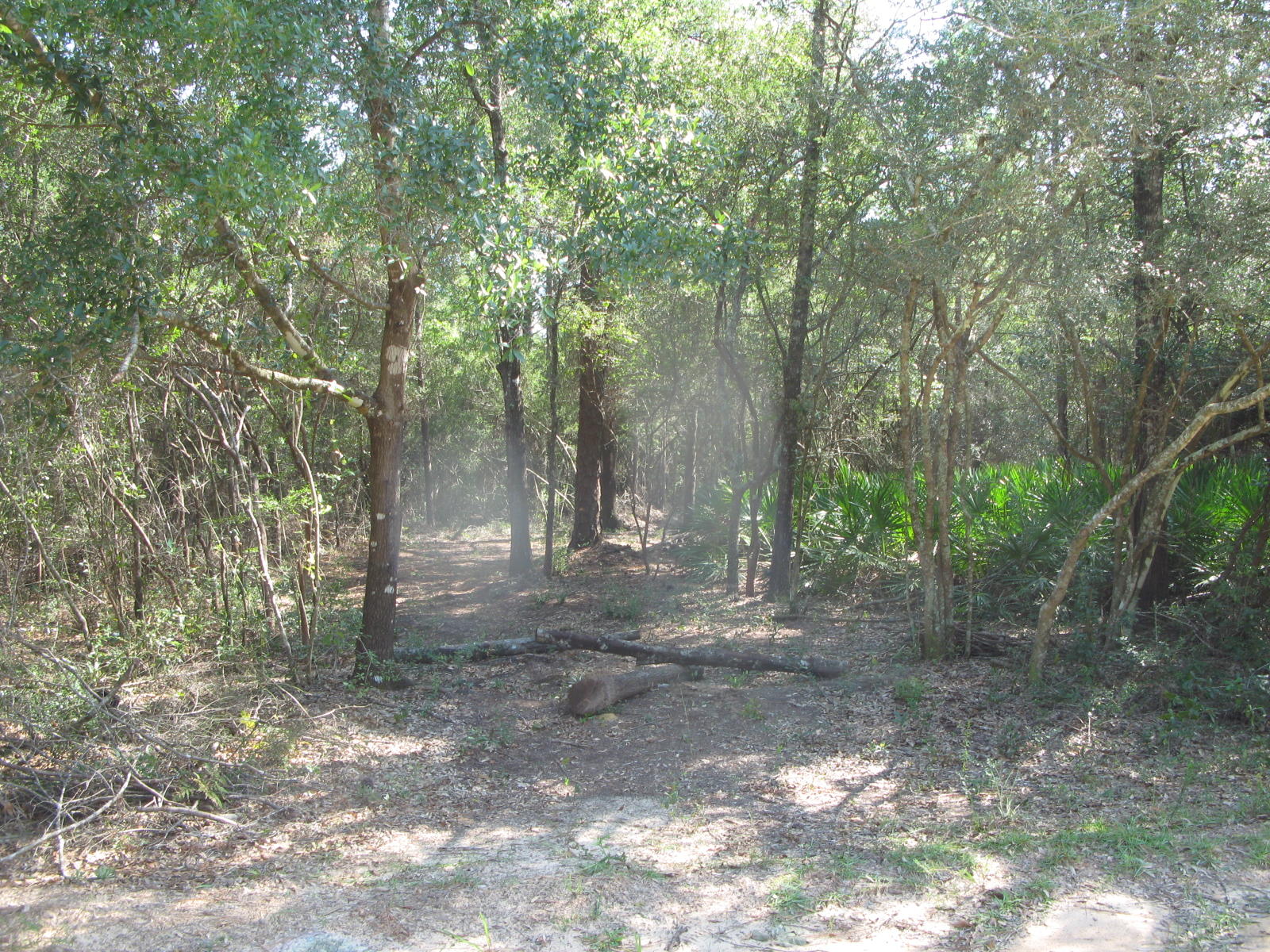146 Rene Road DeFuniak Springs, FL 32433 - Photo 2 of 9 IMG_2591