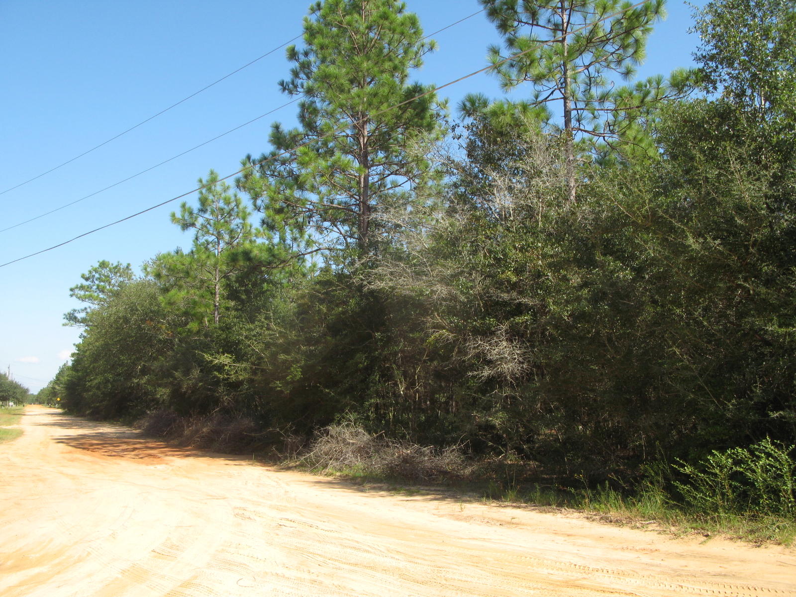 146 Rene Road DeFuniak Springs, FL 32433 - Photo 3 of 9 IMG_2593