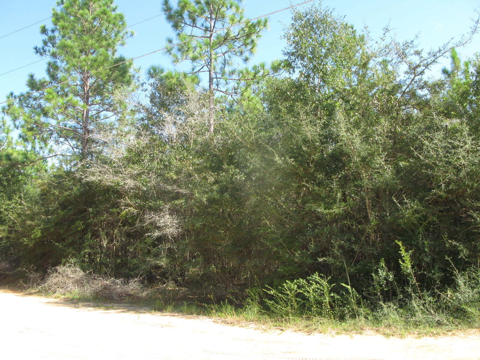 146 Rene Road DeFuniak Springs, FL 32433 - Photo 4 of 9 IMG_2594