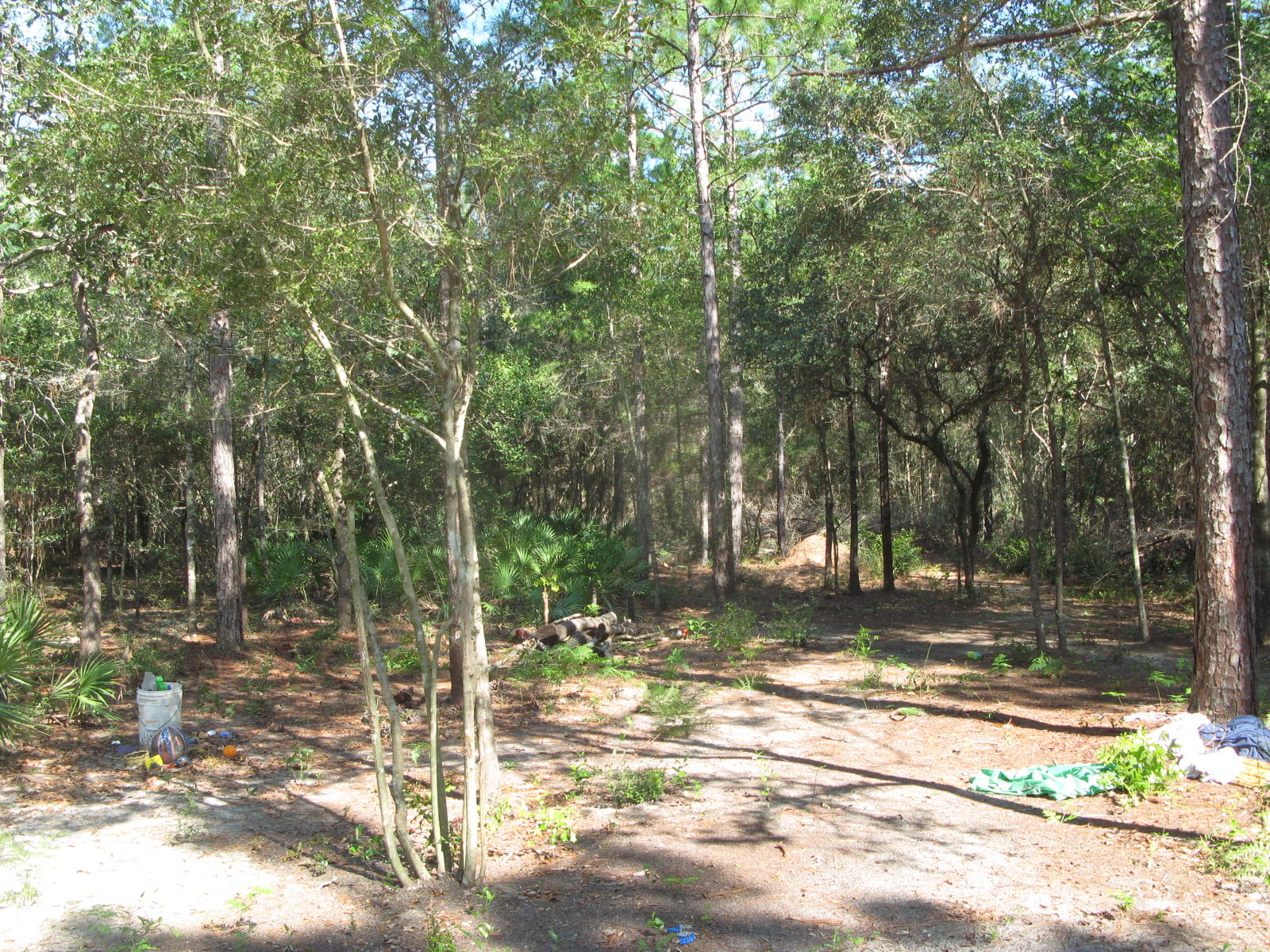 146 Rene Road DeFuniak Springs, FL 32433 - Photo 6 of 9 IMG_2596