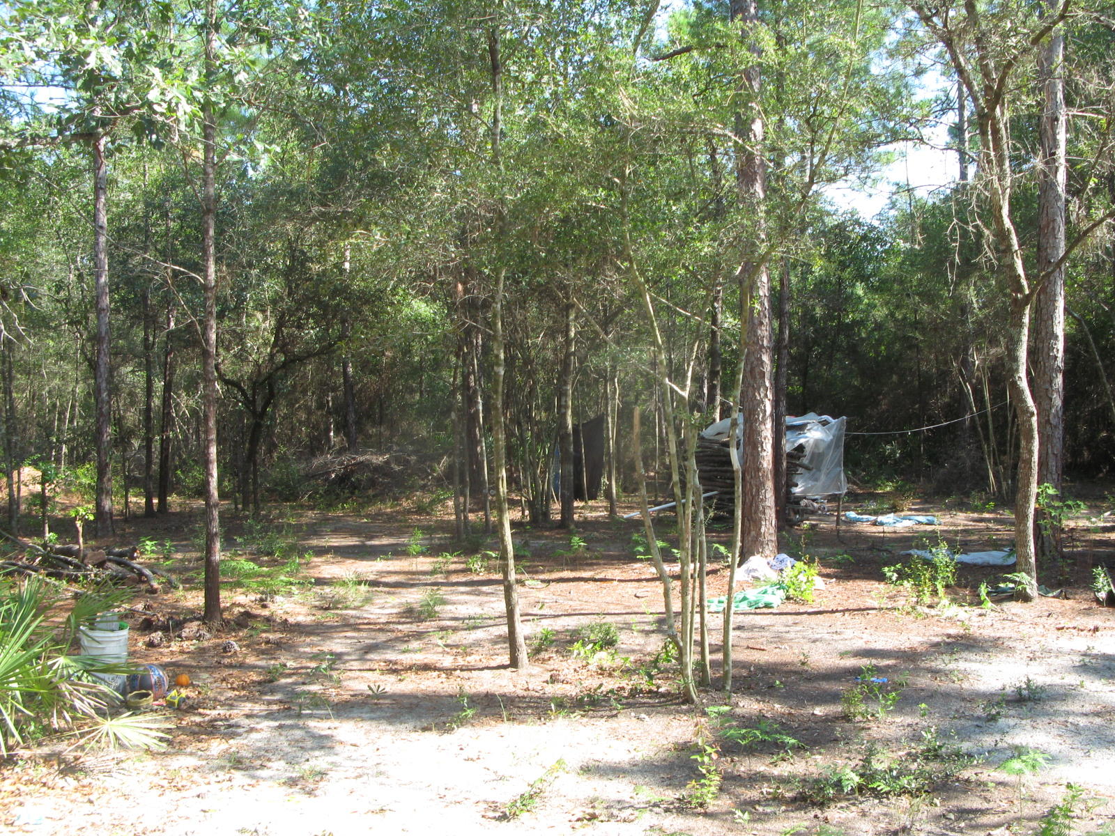 146 Rene Road DeFuniak Springs, FL 32433 - Photo 7 of 9 IMG_2598