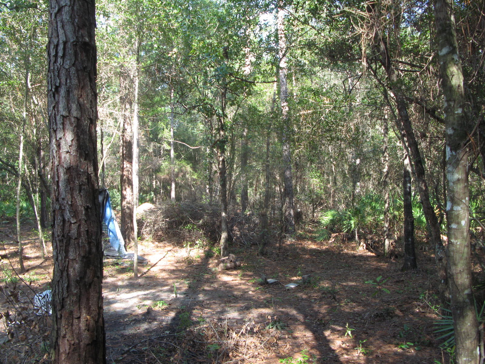 146 Rene Road DeFuniak Springs, FL 32433 - Photo 8 of 9 IMG_2602