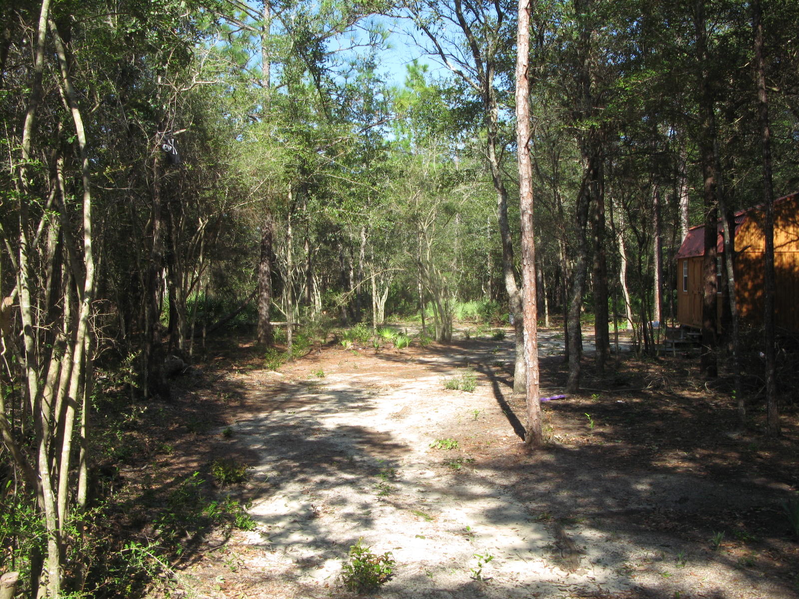 146 Rene Road DeFuniak Springs, FL 32433 - Photo 9 of 9 IMG_2607
