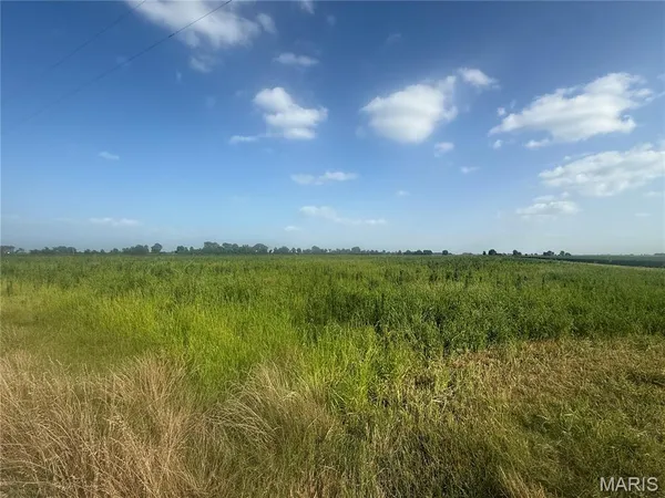 $308,000 | 0 County Road 406, Hayti, MO 63851