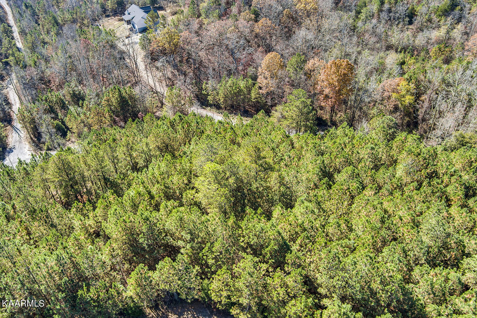 14531457 Sloans Gap Road Ocoee, TN 37361 - Photo 8 of 50