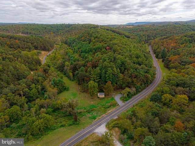 a view of a forest from a balcony