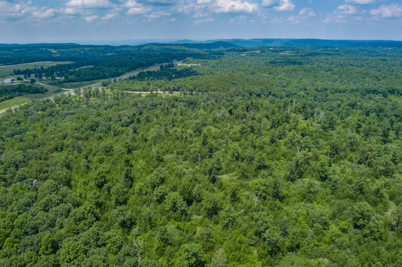 37.59-ac Golden Pointe Road Spencer, TN 38585 - Photo 11 of 18 11_MAX_0245_HDR_mls